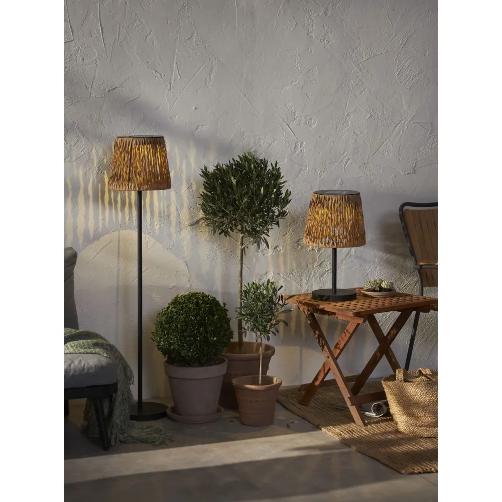 Star Trading Aurinkokennolattiavalaisin Cesta, 102cm, musta/ruskea