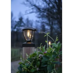 Star Trading Aurinkokennovalaisin Felix Ø14cm musta