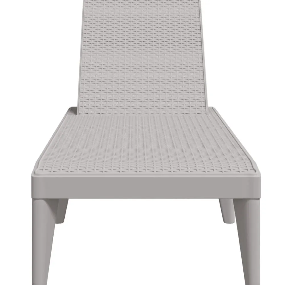 FinePRICE Aurinkotuoli harmaa 186x60x29 cm PP