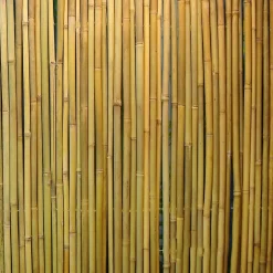 Home4you Bambuaita In Garden 150x300 cm