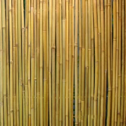 Home4you Bambuaita In Garden, 100x300cm