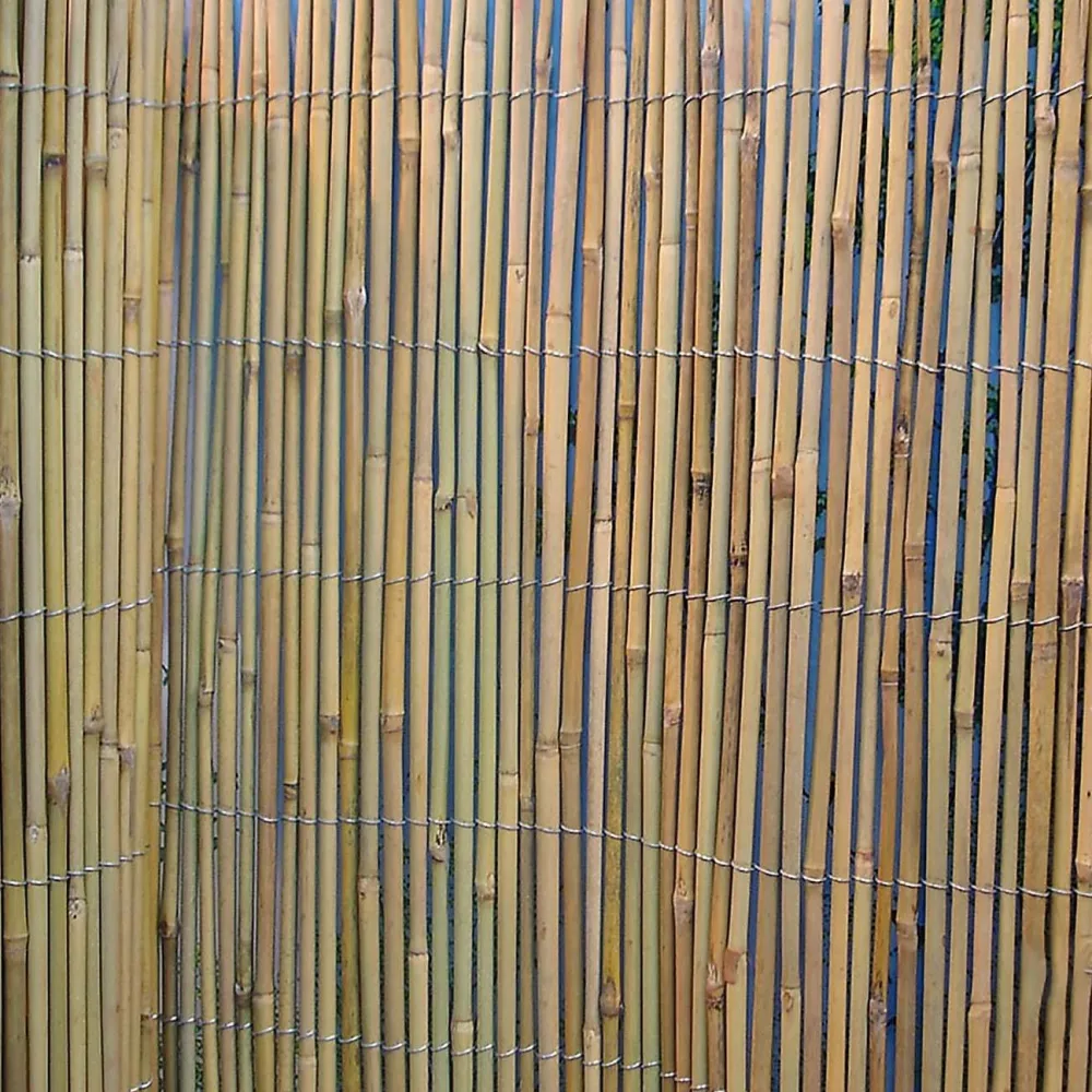 Home4you Bambuaita In Garden 150x500 cm
