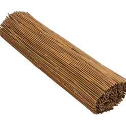 Sale FinePRICE Bambuaita 500x100 cm