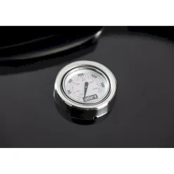 Best Weber Grill Brikettigrilli Weber Master Touch GBS E-5750 2019