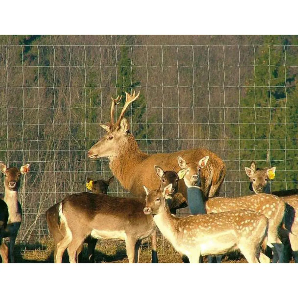 Online AB Polar Eläinverkko Zn hitsattu 1,0x50 m muuttuva silmäkoko
