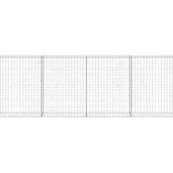 Discount FinePRICE Gabion-kivikori kansilla galvanoitu teräs 300x30x100 cm