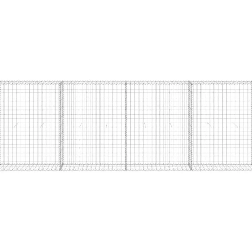 Discount FinePRICE Gabion-kivikori kansilla galvanoitu teräs 300x30x100 cm