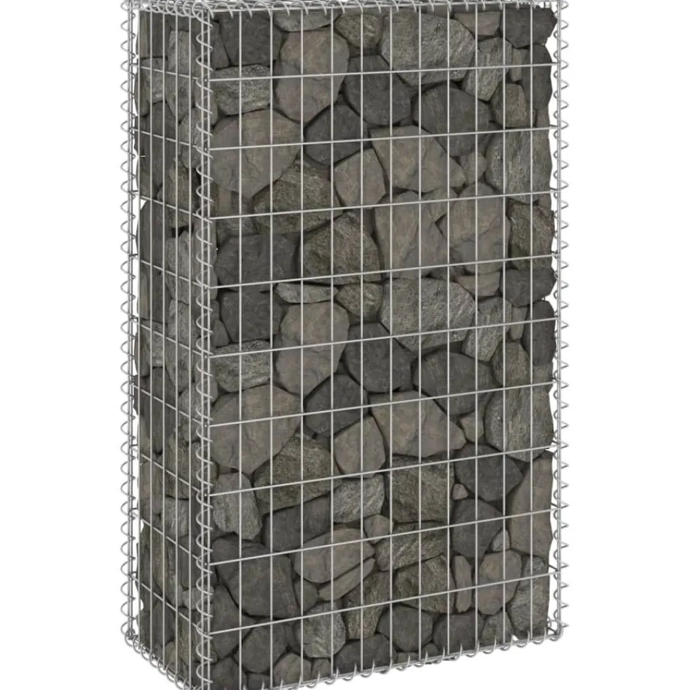 Sale FinePRICE Gabion-kivikori kansilla galvanoitu teräs 60x30x100 cm