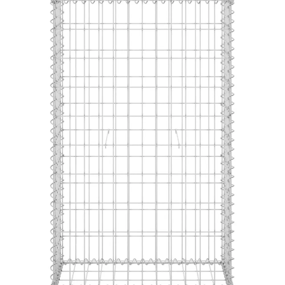 Sale FinePRICE Gabion-kivikori kansilla galvanoitu teräs 60x30x100 cm