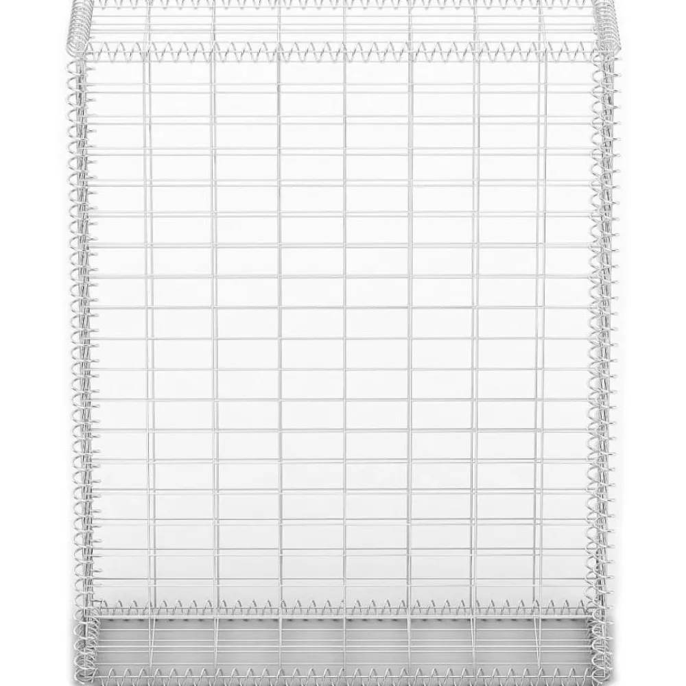 Clearance FinePRICE Gabion/kivikori kansilla galvanoitu vaijeri 100x80x30cm