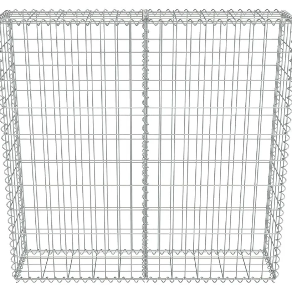 Outlet FinePRICE Gabion-kivikori kansilla galvanoitu teräs 100x20x100cm
