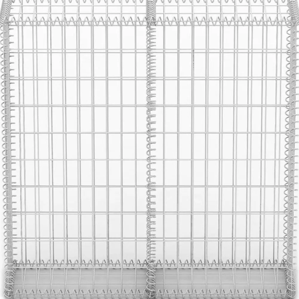 Discount FinePRICE Gabion/kivikori kansilla galvanoitu vaijeri 100x100x30cm