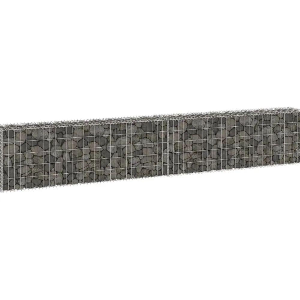 Online FinePRICE Gabion-kivikori kansilla galvanoitu teräs 300x30x50 cm