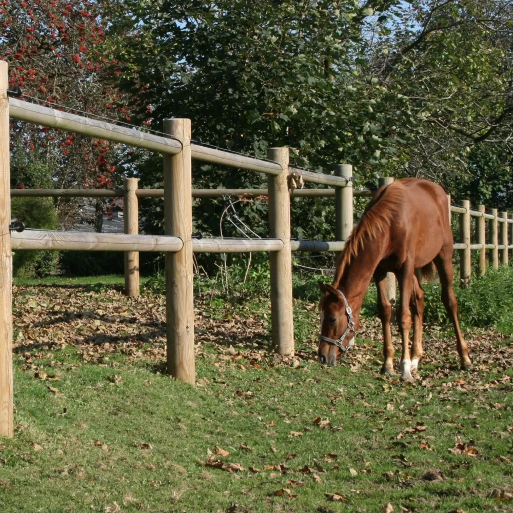 Online Hortus Hevosaitaus 120m painekyllästetty