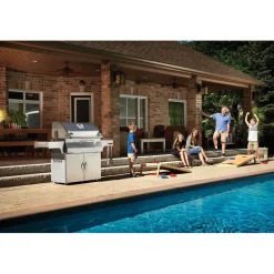Sale Napoleon Hiiligrilli PRO605