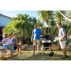 Sale Napoleon Hiiligrilli PRO22-L-3