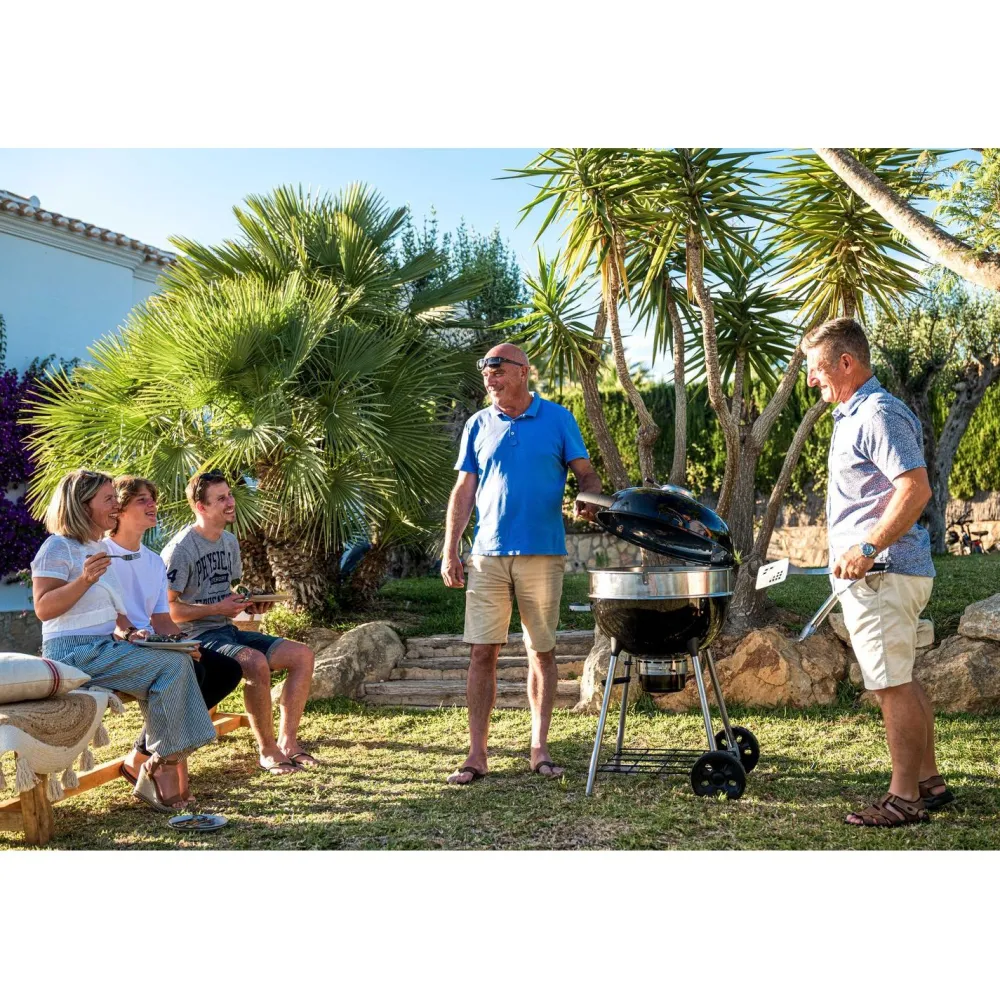 Sale Napoleon Hiiligrilli PRO22-L-3