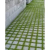 Best Betonilaatta Hulevesikivi Grass 115x115x80mm harmaa