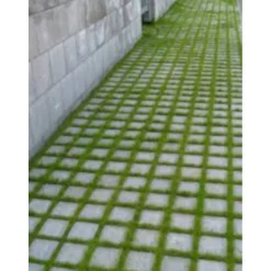 Best Betonilaatta Hulevesikivi Grass 115x115x80mm harmaa