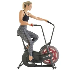 Online Schwinn Ilmavastuspyörä Airdyne AD 2 max. 113 kg