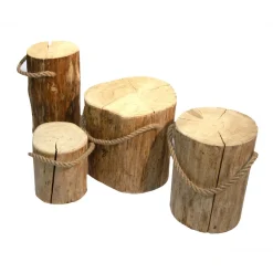 Best EcoFurn Jakkara Pölkky Ø25-35 x 45 cm käsittelemätön