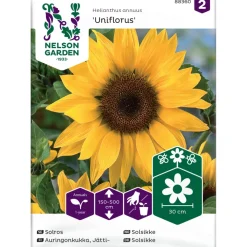 Online Nelson Garden Jättiauringonkukka Uniflorus, siemenet