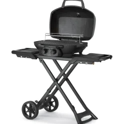 Sale Napoleon Kaasugrilli TravelQ Phantom PRO285X, 2 poltinta