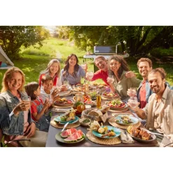 Sale Weber Grill Kaasugrilli Weber Genesis E-425W, 4 poltinta, musta