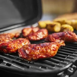 Best Weber Grill Kaasugrilli Weber Traveler Compact