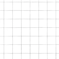 Best FinePRICE Kanaverkko 25x25mm galvanoitu teräs 10x1.5m hopea