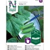 Outlet Nelson Garden Kasvihuonekurkku Baby F1, siemenet