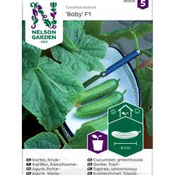 Outlet Nelson Garden Kasvihuonekurkku Baby F1, siemenet