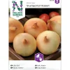 Nelson Garden Keltasipuli Stuttgarter Riesen, siemenet