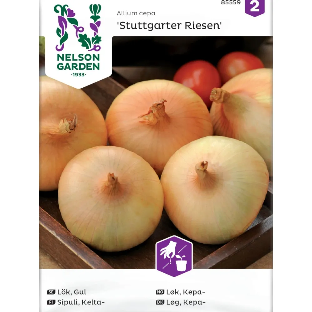 Nelson Garden Keltasipuli Stuttgarter Riesen, siemenet