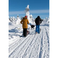 Hot Esla Koirarekikelkka Adventure