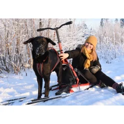 Hot Esla Koirarekikelkka Adventure
