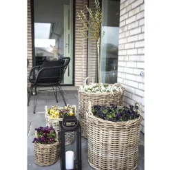 Discount House Nordic Koriruukku Caor, 4kpl, rottinki, ruskea
