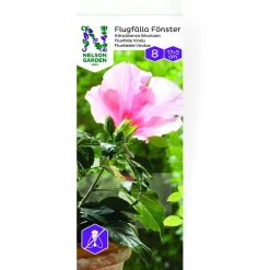 Clearance Nelson Garden Kärpäsansa ikkunaan , 8kpl