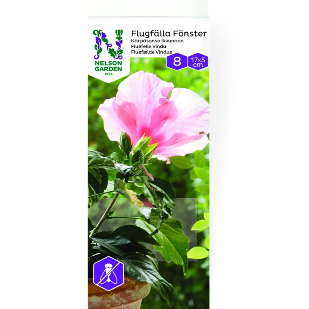 Clearance Nelson Garden Kärpäsansa ikkunaan , 8kpl