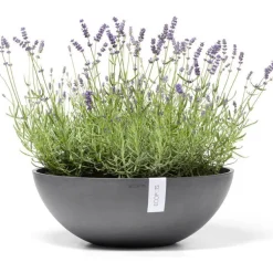 Clearance Ecopots Kukkaruukku Vienna, eri kokoja ja värejä