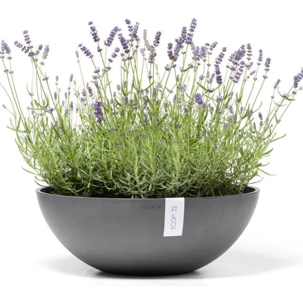 Clearance Ecopots Kukkaruukku Vienna, eri kokoja ja värejä