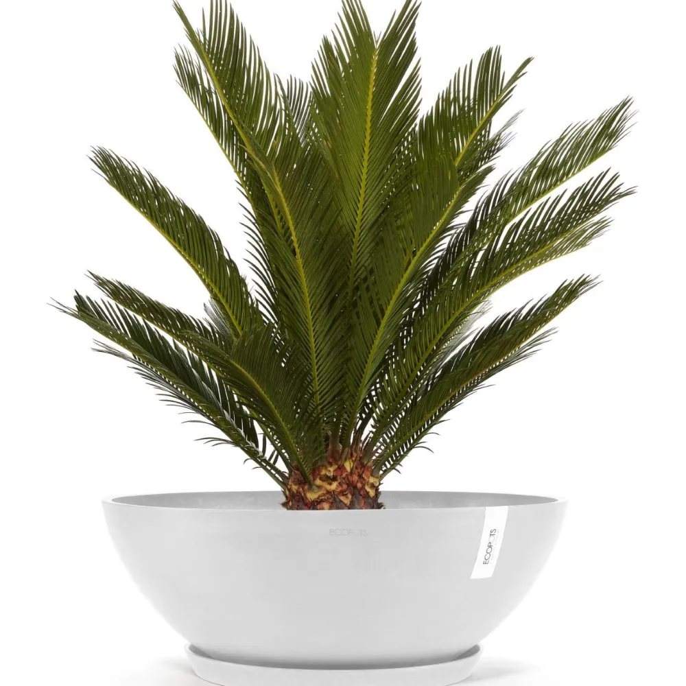Clearance Ecopots Kukkaruukku Vienna, eri kokoja ja värejä
