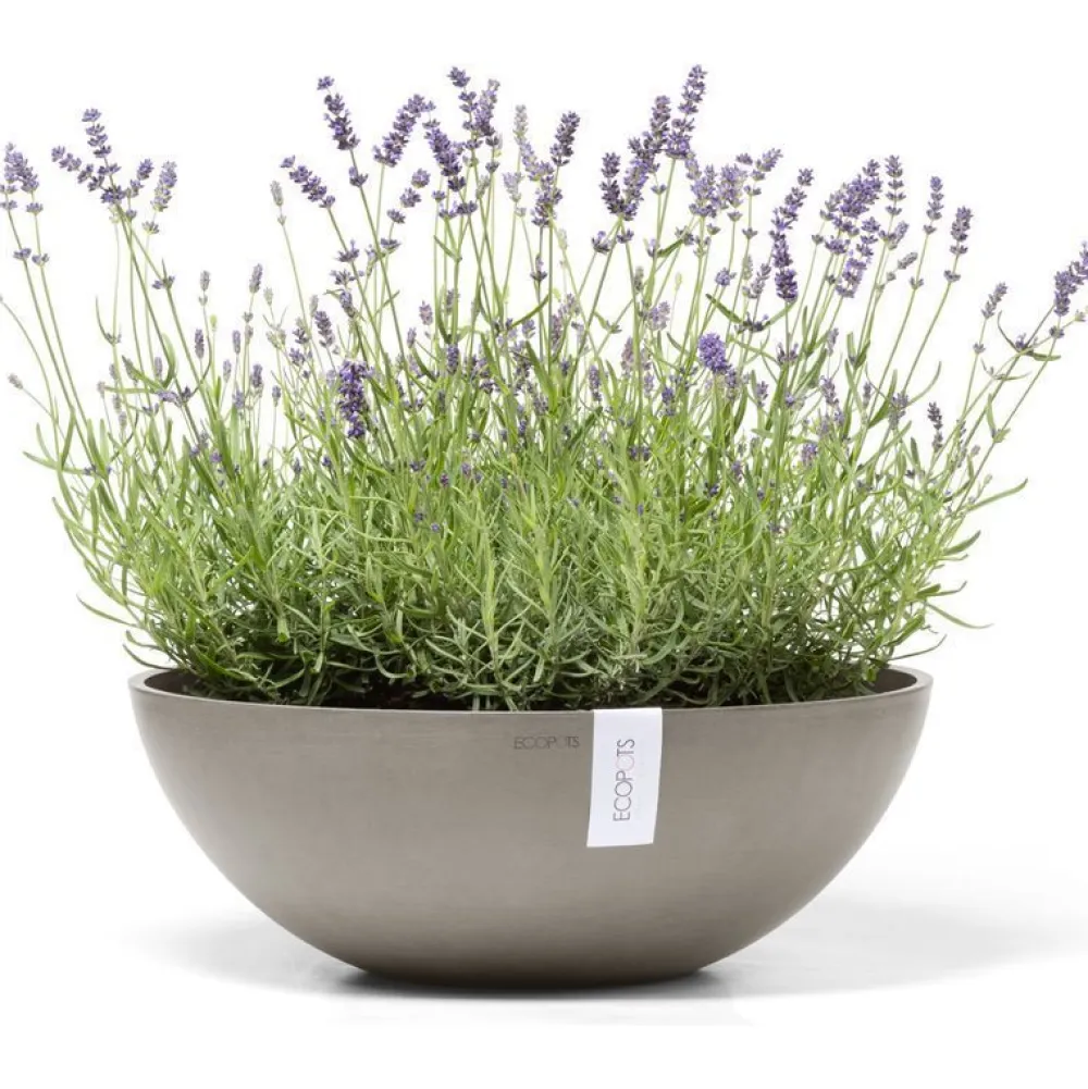 Clearance Ecopots Kukkaruukku Vienna, eri kokoja ja värejä