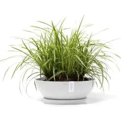 Clearance Ecopots Kukkaruukku Vienna, eri kokoja ja värejä