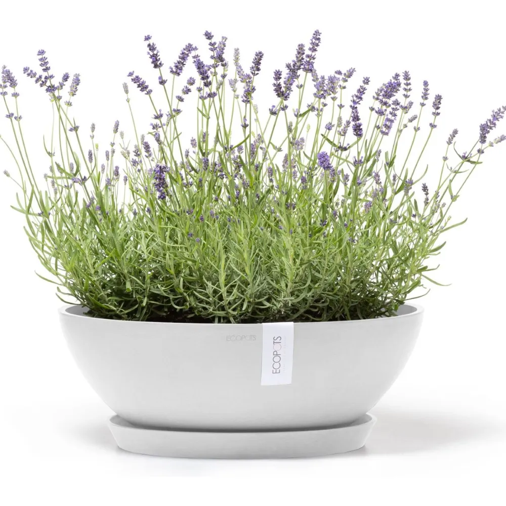 Clearance Ecopots Kukkaruukku Vienna, eri kokoja ja värejä