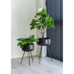 Clearance House Nordic Kukkaruukku Ardola, 2kpl, musta teräs