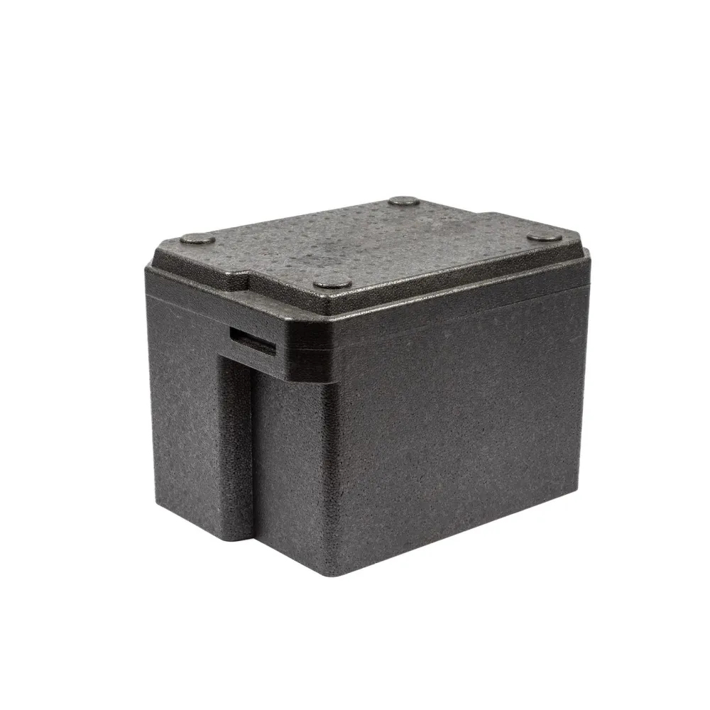 Clearance Artekno Kylmälaatikko Handy-termo 20 l kantokoloilla