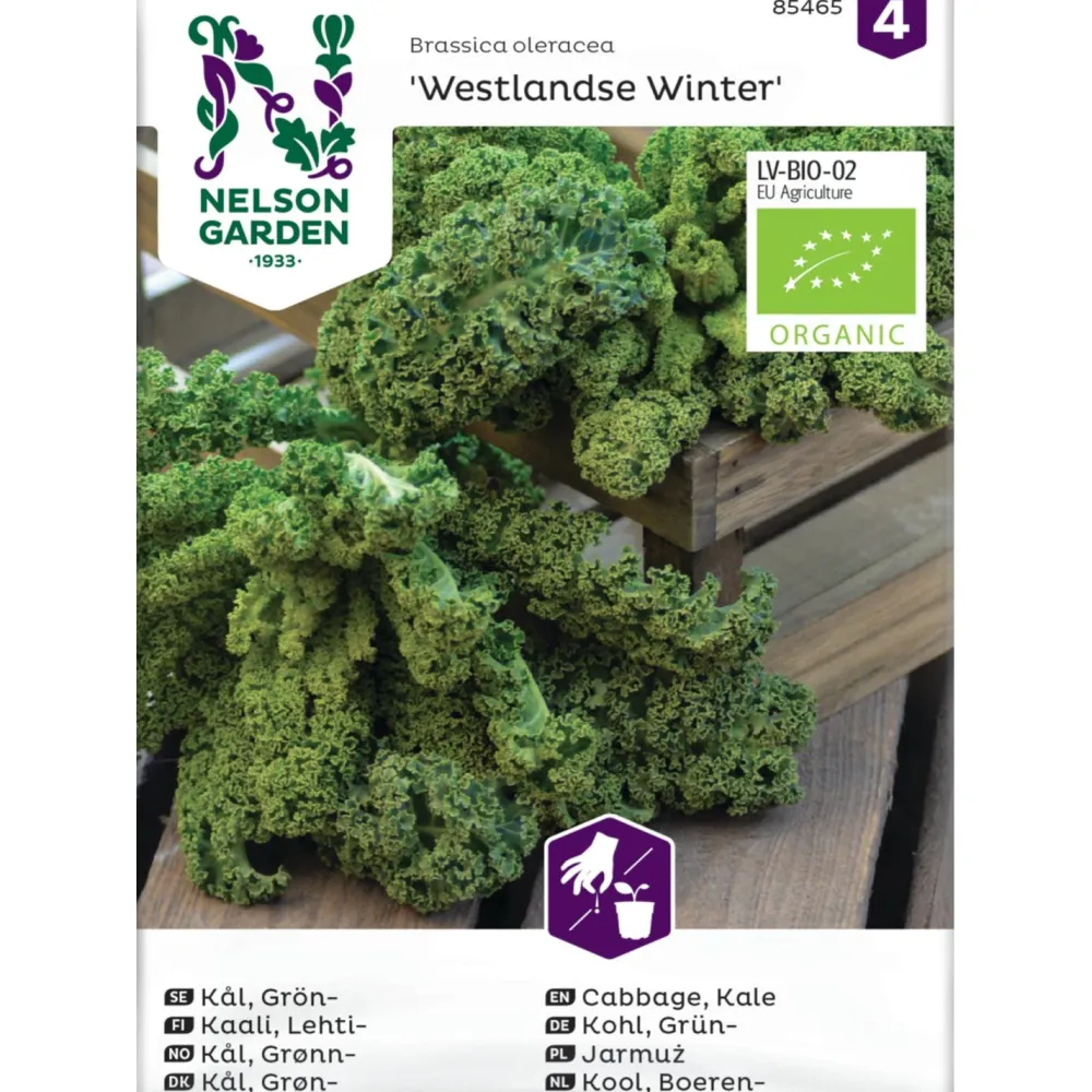 Discount Nelson Garden Lehtikaali Westlandse Winter Organic, siemenet