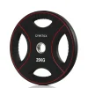 Hot Gymstick Levypaino Pro PU 25 kg