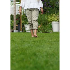 Clearance GreenCare Männynkuorikate , 70 säkkiä x 50 litraa/lava, 3500 litraa